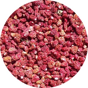 Ягоды сушёные и вяленые